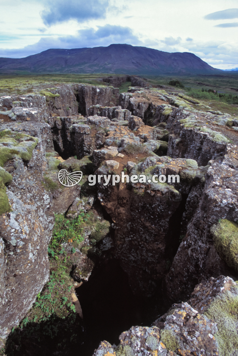 Fissure d'extension (Thingwellir, Islande) - gryphea.org
